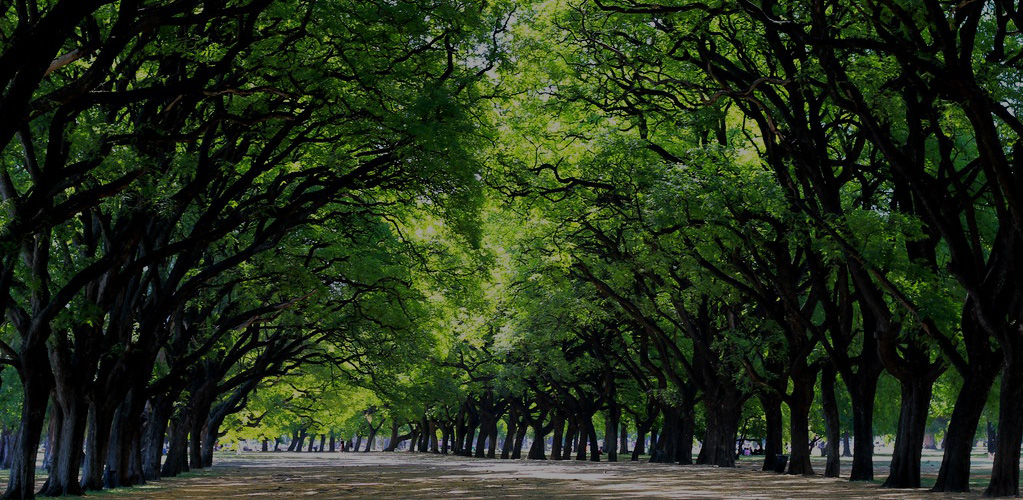 Bosques de Palermo, Buenos Aires